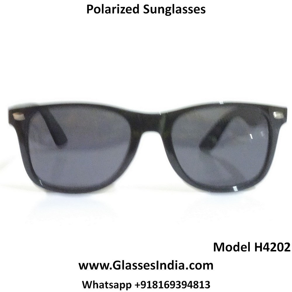 Sapphire Polarized Driving Sunglasses for Men and Women 4202SBK