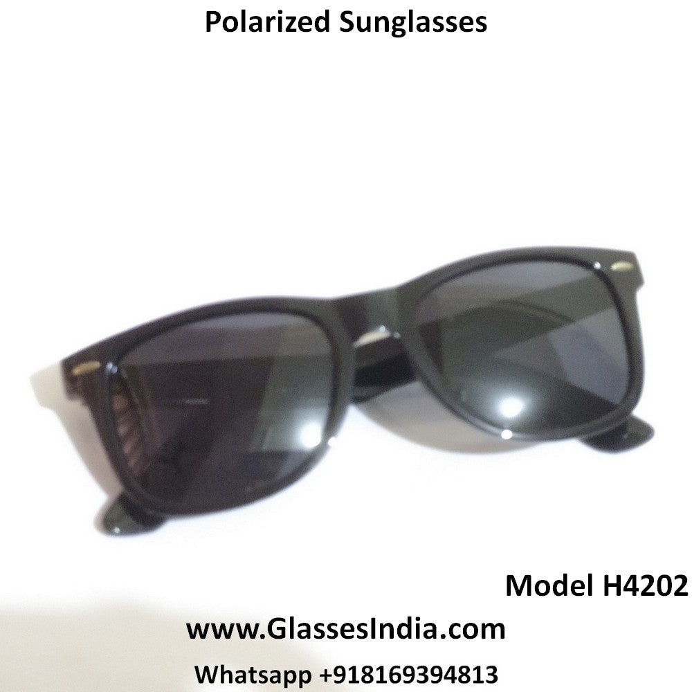 Sapphire Polarized Driving Sunglasses for Men and Women 4202SBK